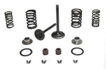 Valve Kit 70cc/110cc