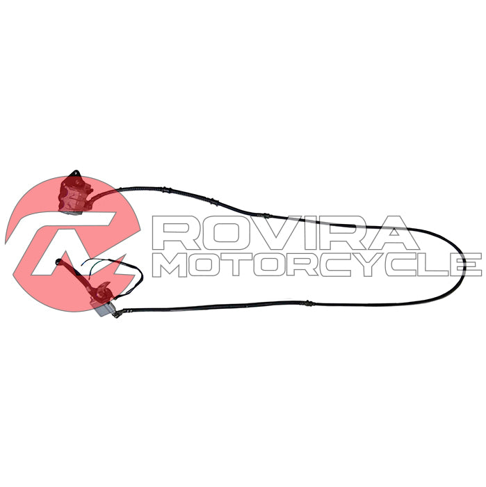 Rear Hydraulic Brake Assembly