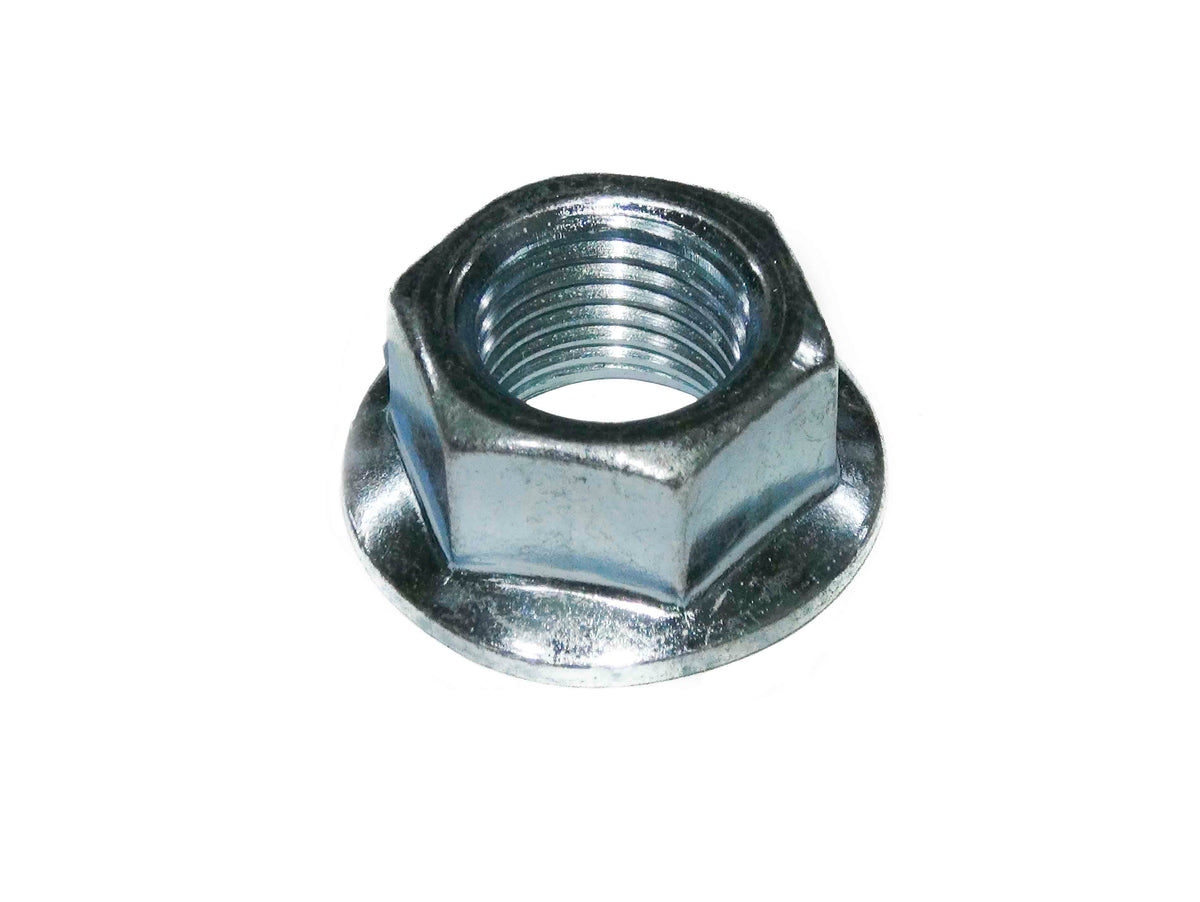 Variator/Crankshaft Nut