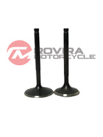 RM valve set (30.5/26.5)