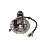 4-stroke Stator/Magneto Type-3for chinese atv and mx